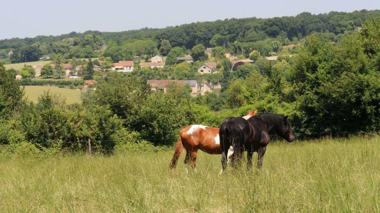 La Maison Ronde Et Ses 2 Cahutes Monthoiron Esterno foto